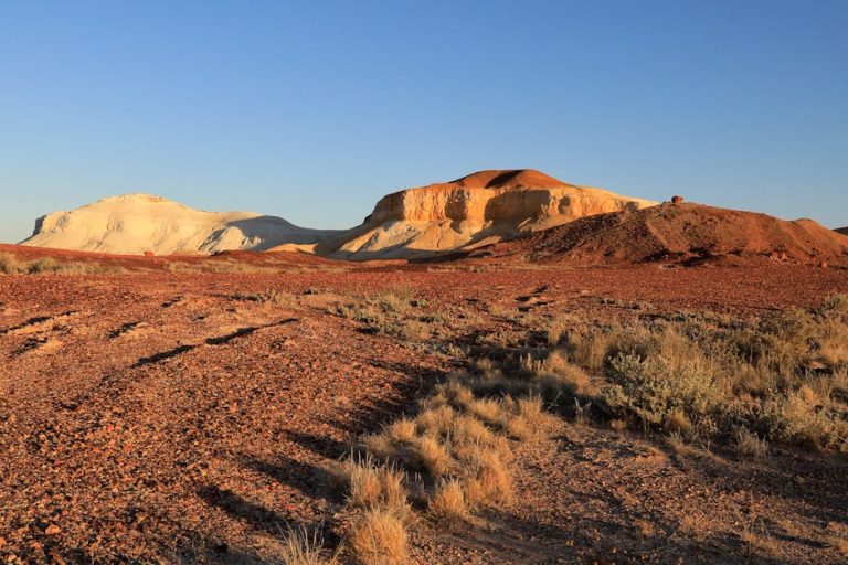 Eco-Friendly Travel Blogging: Saving the Planet One Post at a Time